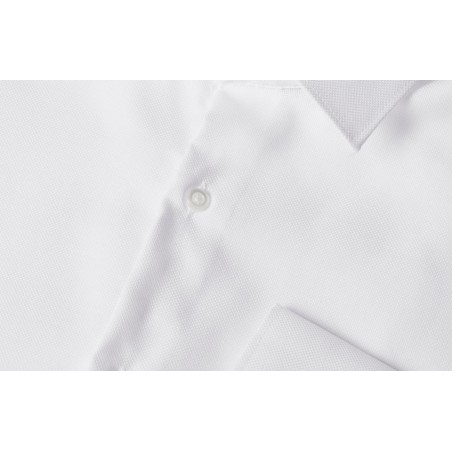 SS311 SEVEN SEAS Royal Oxford | slim